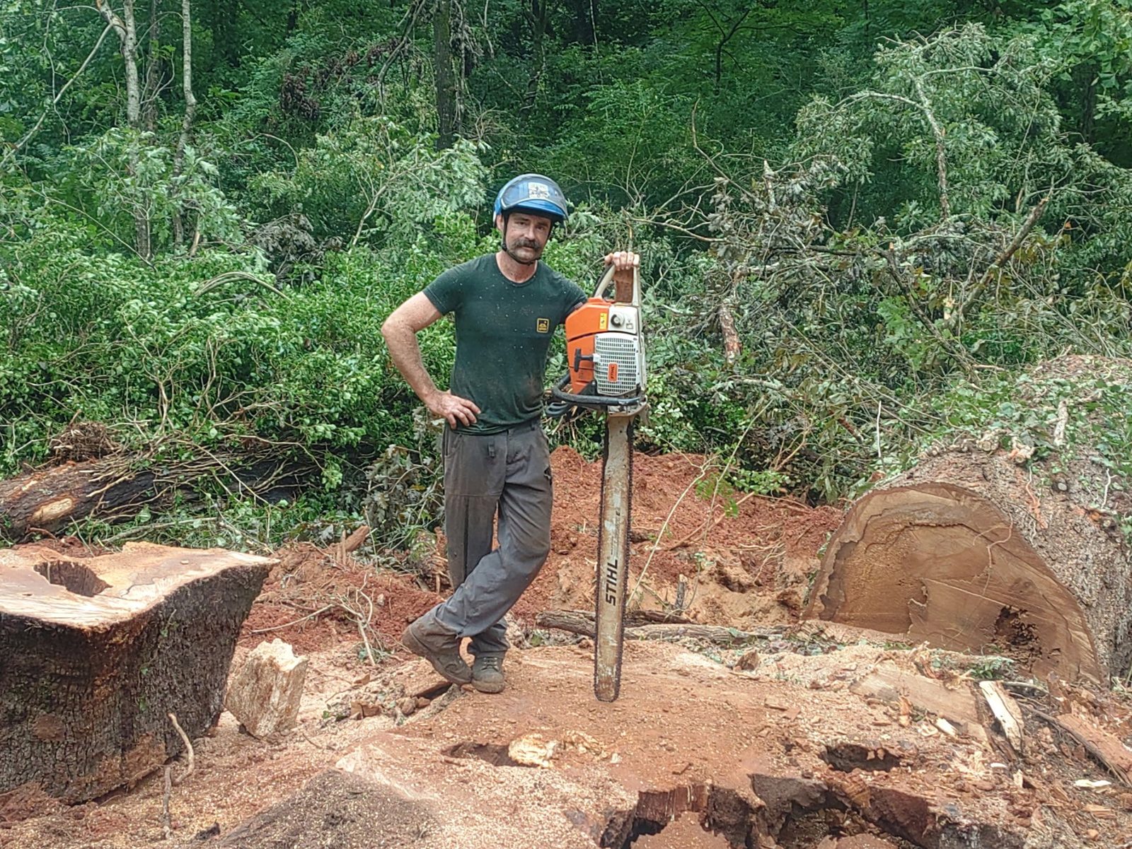 Arborist in a blue helmet standing beside a chainsaw on a freshly cleared worksite